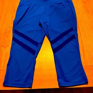 Plus size, athleisure wear capris. Livi size 18/20.